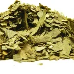 Gingo bilonga 30-60gr