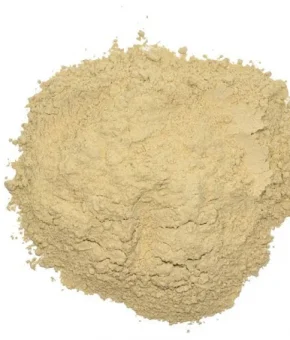 Astragalus powder bio 100gr