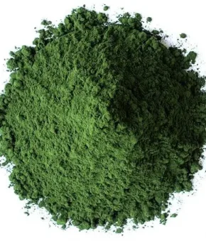 Chlorella powder organic bio 100gr